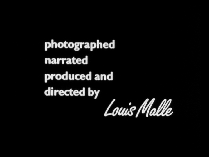 The Louis Malle Documentaries Collection (1986) [DVD / Box Set] - Planet of  Entertainment