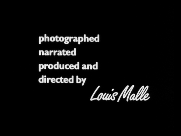 THE DOCUMENTARIES OF LOUIS MALLE (6 DVD, Eclipse Series 2