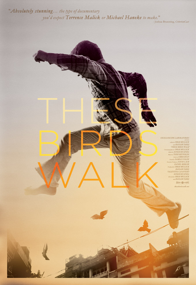 these-birds-walk-poster