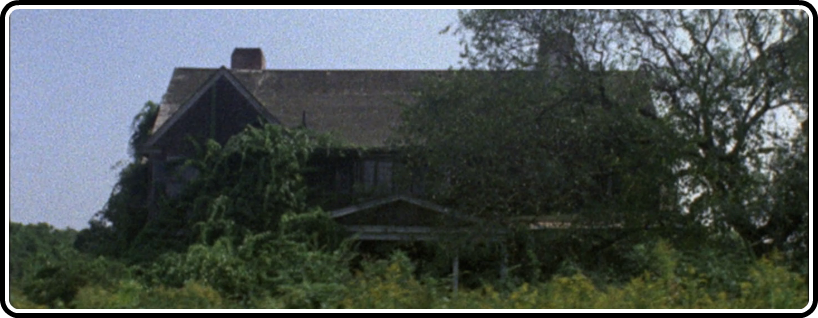 GREY GARDENS HEADER