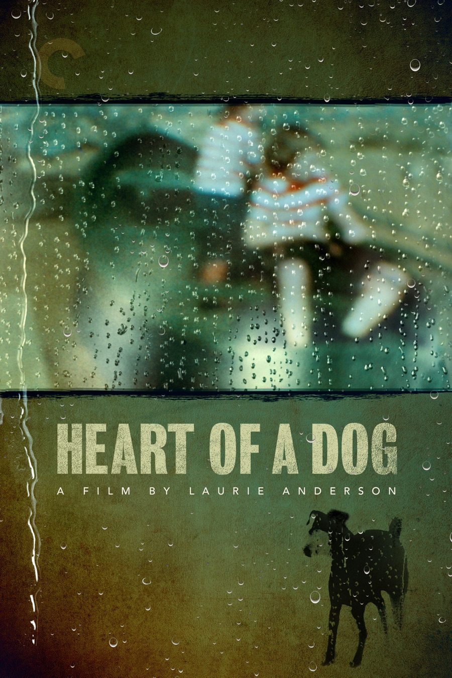 Heart of a Dog Criterion 900